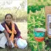 Tea for Two Times the Impact!